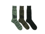 FT-02 Sock Lichen